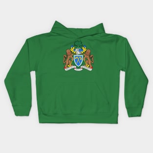 Gambia / Faded Crest Style Flag Design Kids Hoodie
